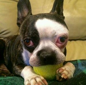 Meet your Posher, Madison